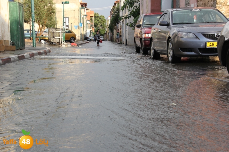 rain in yaffa921 (1).JPG